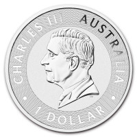 Silver coin Australian Kangaroo 1 oz (2025)